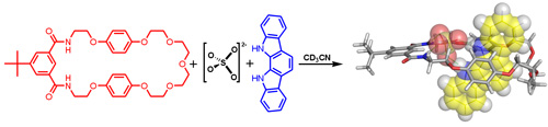 Fig 8b_ChemCommun_TOC_Sulfate anion templation of a neutral pseudorotaxane assembly