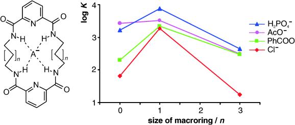 Fig 12b_ChemEurJ2005_TOC_Anion Recognition by Neutral Macrocyclic Amides