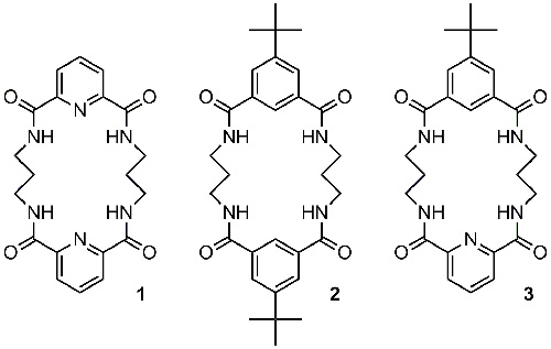 Fig 13b_TL2005_TOC_A hybrid macrocycle