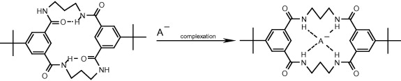 Fig 14b_TL2004_TOC_Anion induced conformational switch