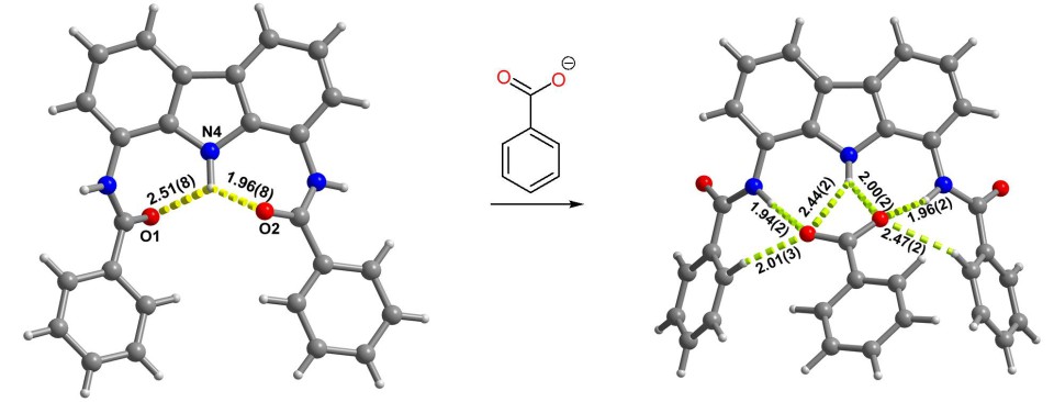 Fig 2_Anion induced conformational switch