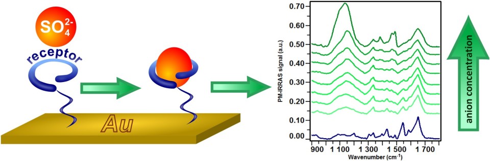 Graphical Abstract Downloaded from the Journal webpage