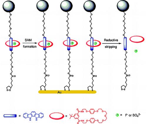 Graphical Abstract_Langmuir_2009