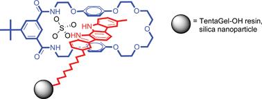 Graphical Abstract_NewJChem_2009